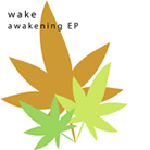 wake - awakening EP